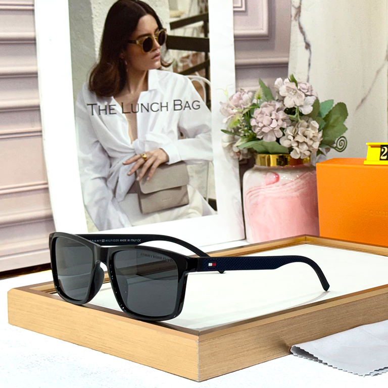Luxury Designer 2623 Sunglasses Wayfarers